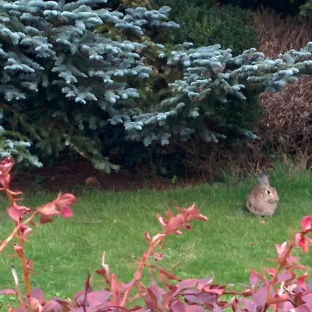 Appartement Haus Oldenburg 